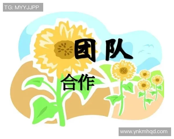 南京乒乓球队的团队协作之道：凝聚力与默契的完美结合